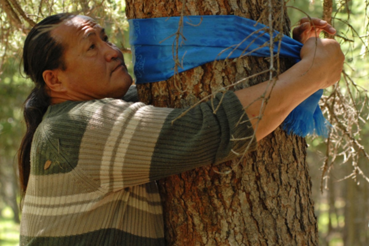 Two Horses of Genghis Khan VPRO Cinema VPRO Gids